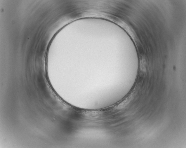 X0000088841150200706071414