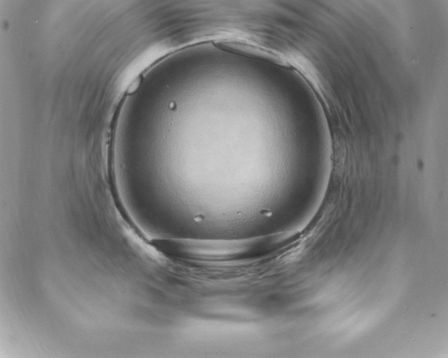 X0000088841151200706071414