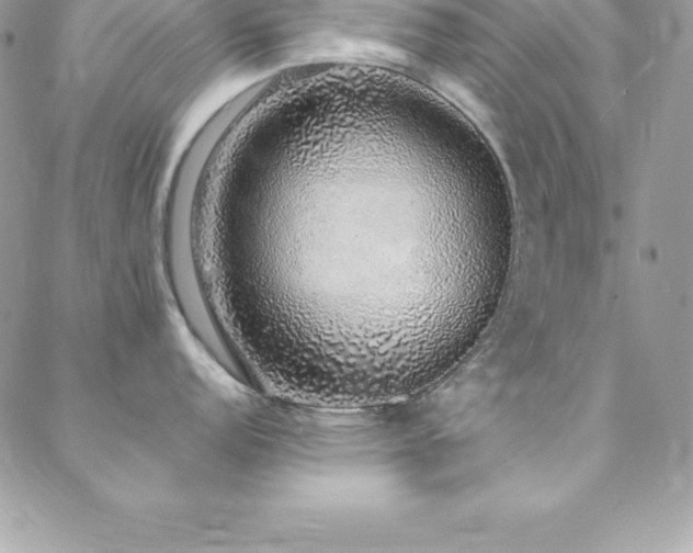 X0000088841152200706071414