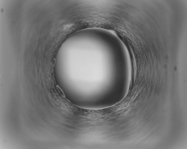 X0000088841153200706071413