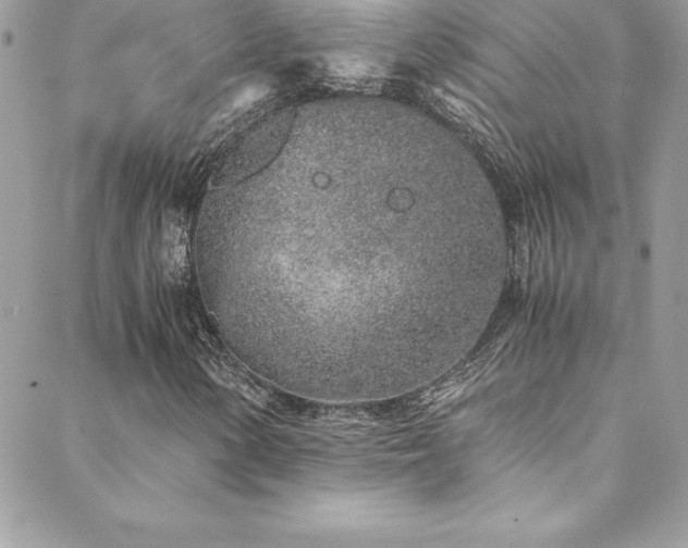 X0000088841154200706071413