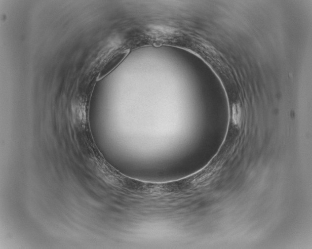 X0000088841155200706071413