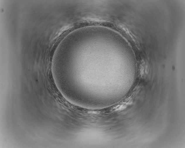 X0000088841157200706071413