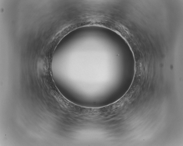 X0000088841158200706071413