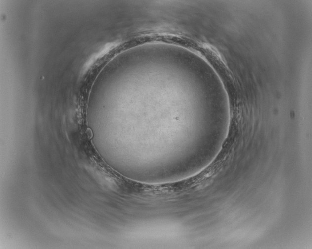 X0000088841159200706071413