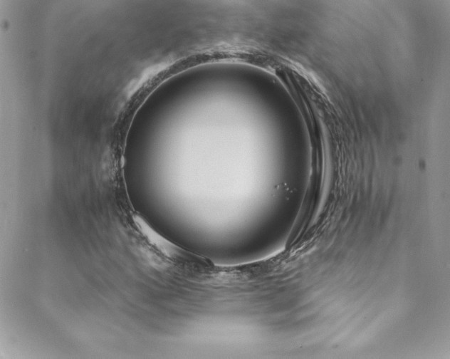 X0000088841160200706071413