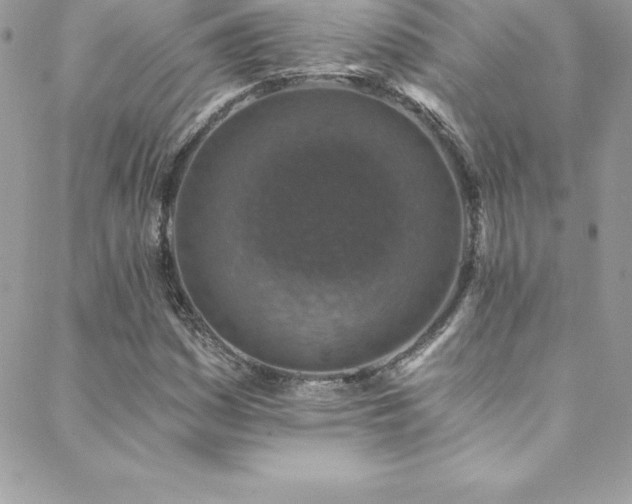 X0000088841161200706071413