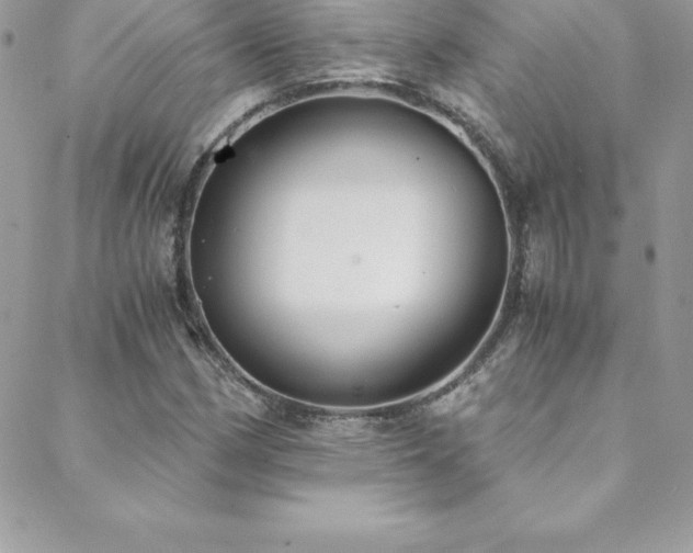 X0000088841162200706071413