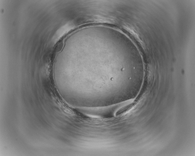 X0000088841163200706071413