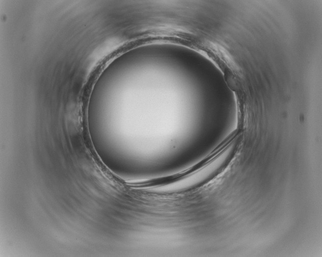 X0000088841164200706071413