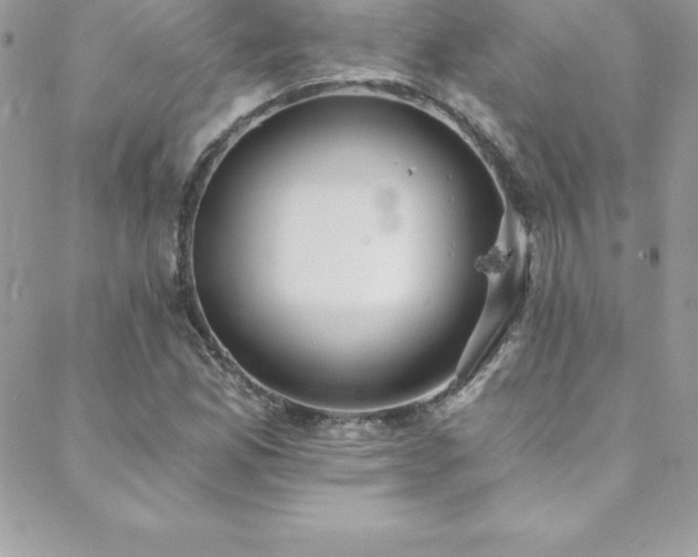 X0000088841165200706071413