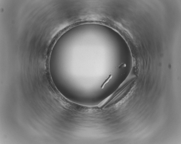 X0000088841166200706071413