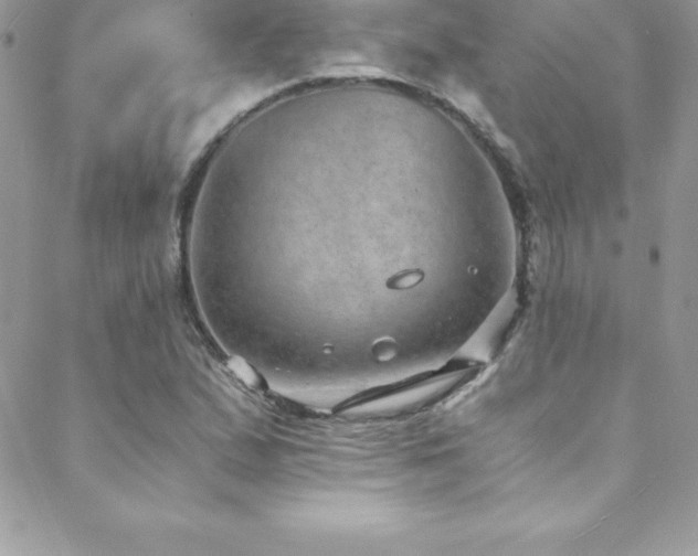 X0000088841167200706071413