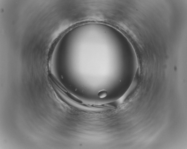 X0000088841168200706071413