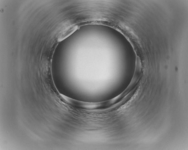 X0000088841169200706071413