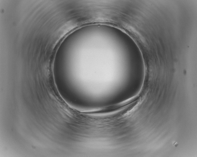 X0000088841170200706071413