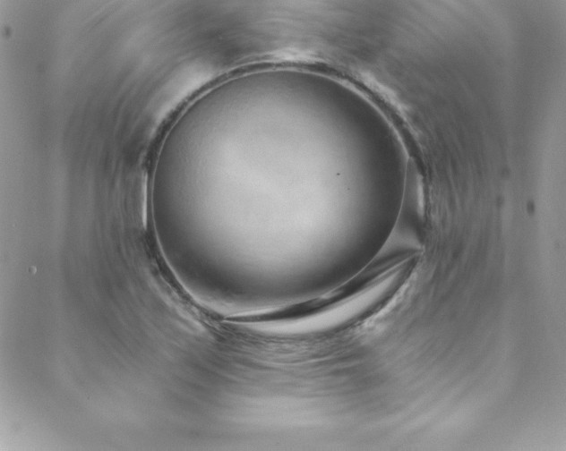 X0000088841171200706071413