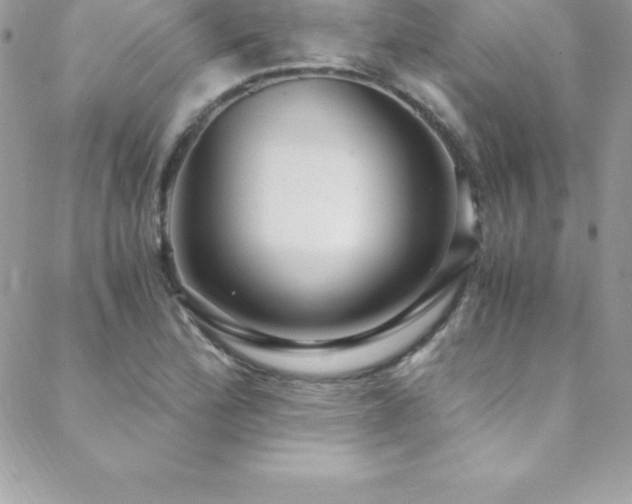 X0000088841172200706071413