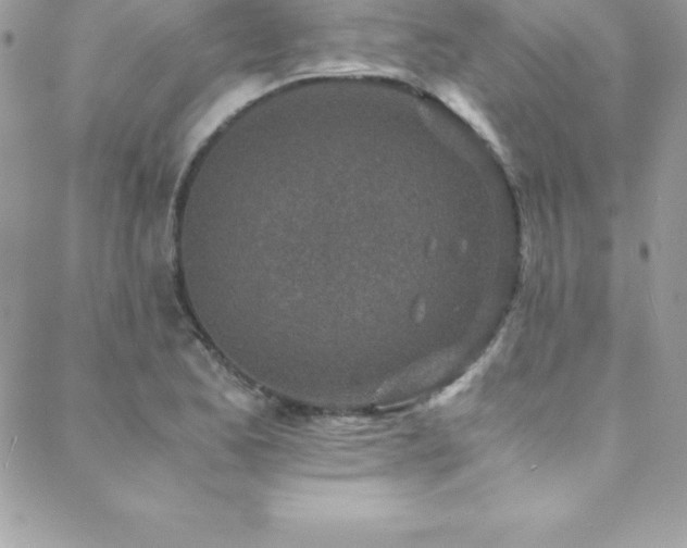 X0000088841173200706071413