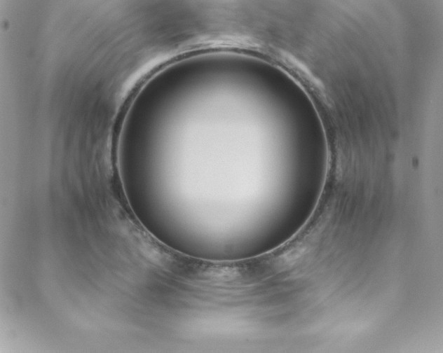 X0000088841174200706071413