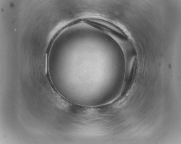 X0000088841175200706071412