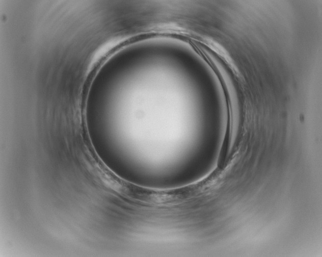 X0000088841176200706071412