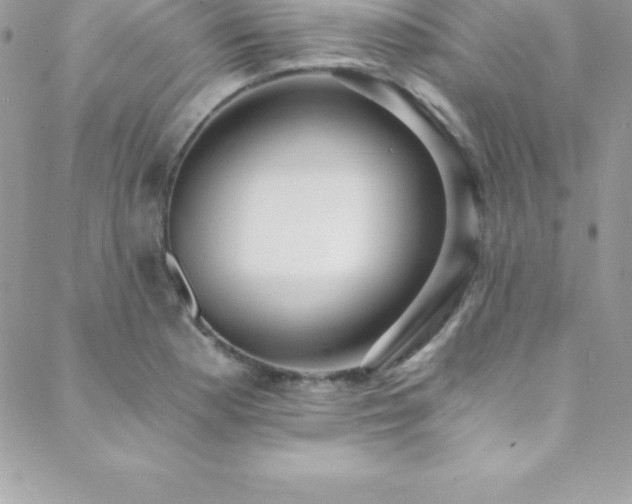 X0000088841177200706071412