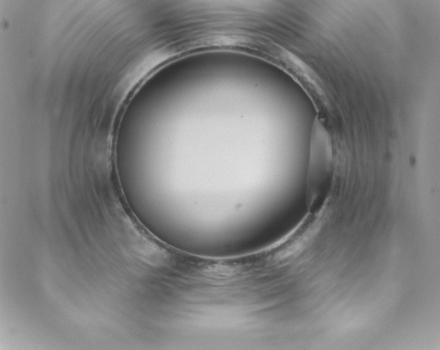 X0000088841178200706071412