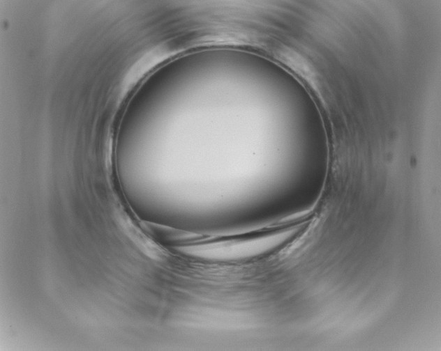 X0000088841179200706071412