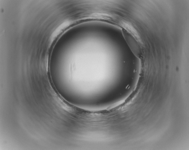 X0000088841180200706071412