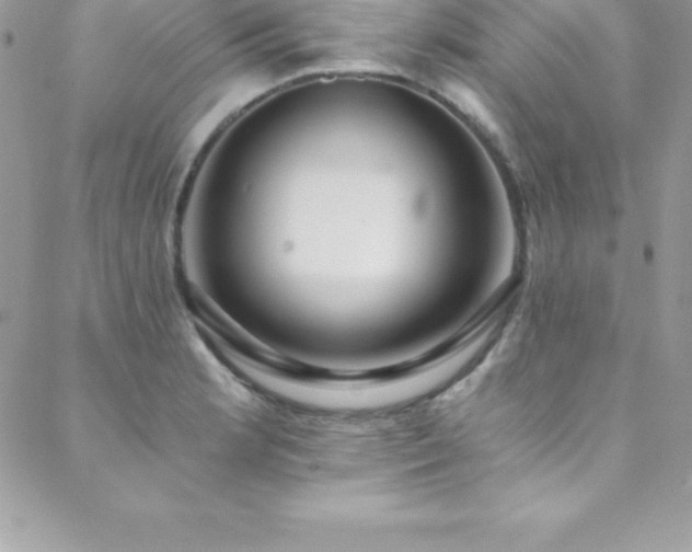 X0000088841181200706071412