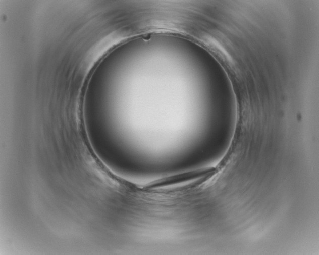 X0000088841182200706071412