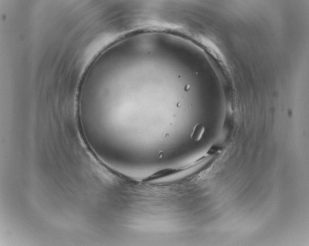 X0000088841183200706071412