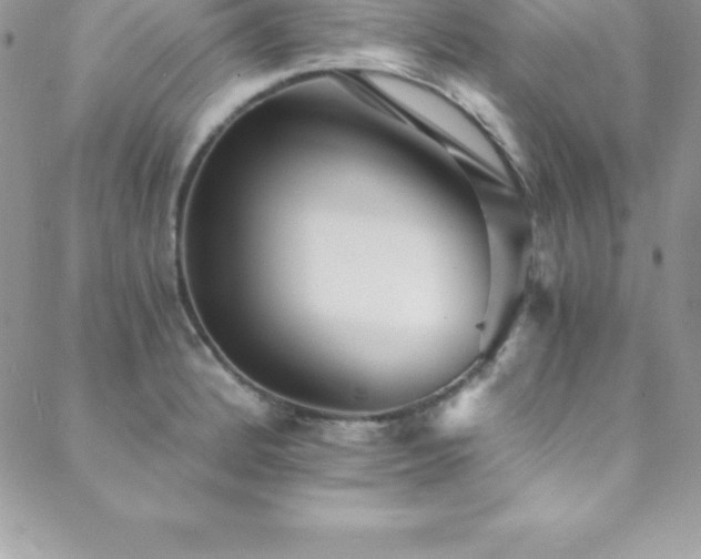 X0000088841184200706071412