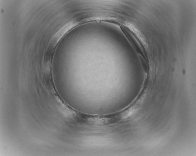 X0000088841185200706071412