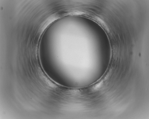 X0000088841186200706071412