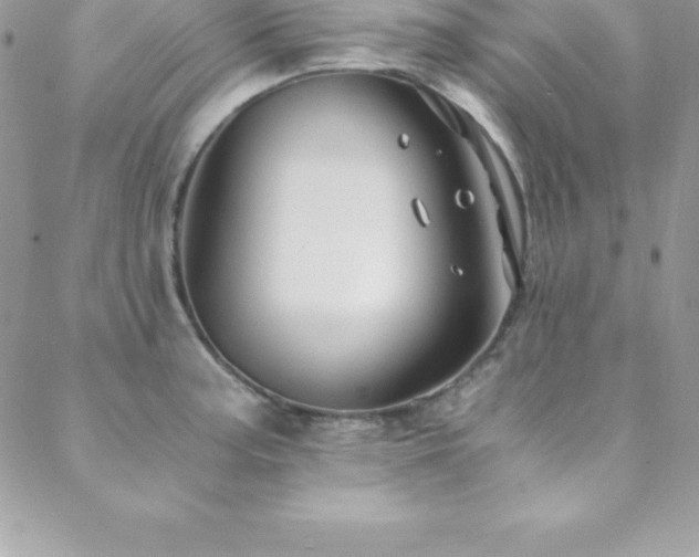 X0000088841187200706071412