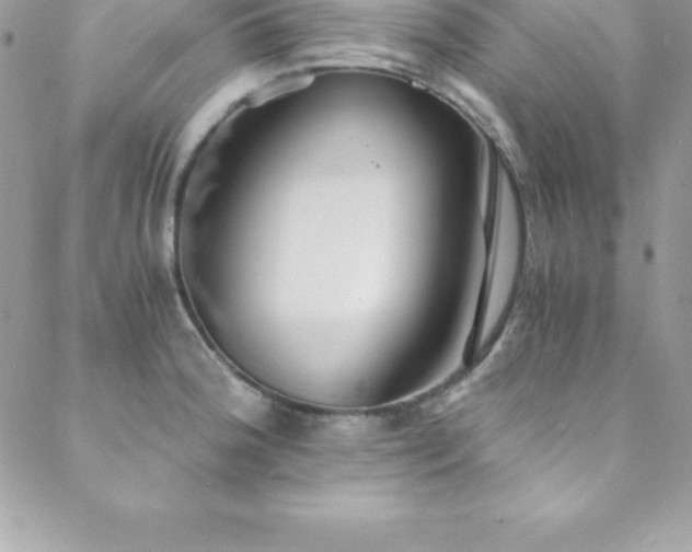 X0000088841188200706071412