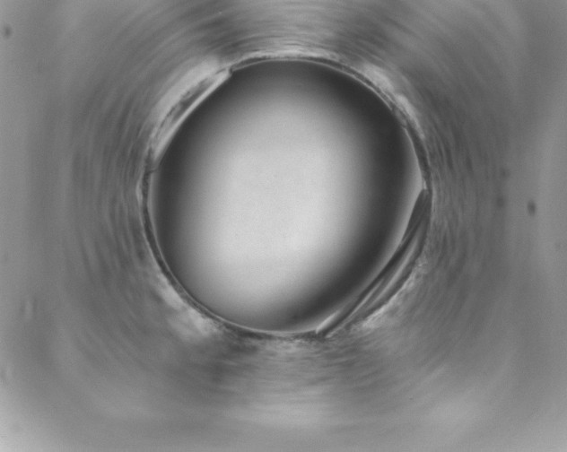 X0000088841189200706071412