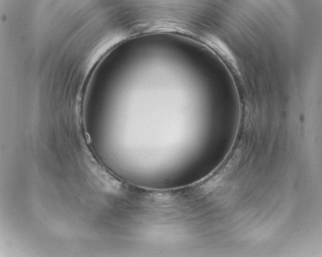 X0000088841190200706071412