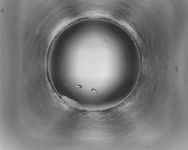 X0000088841191200706071412