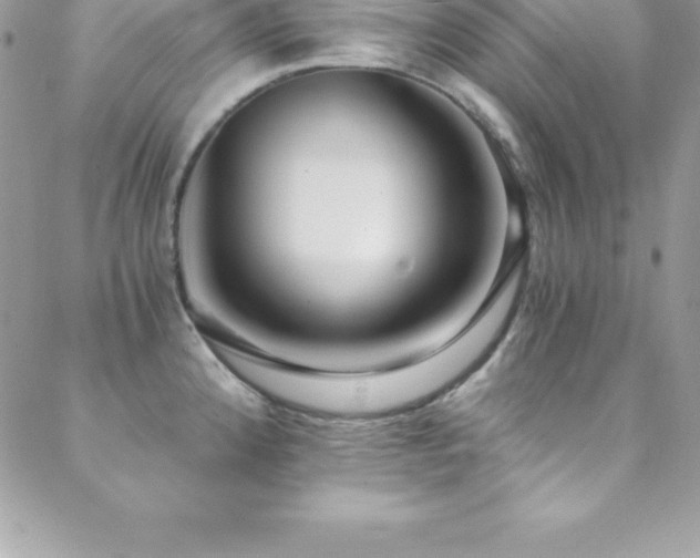 X0000088841192200706071412