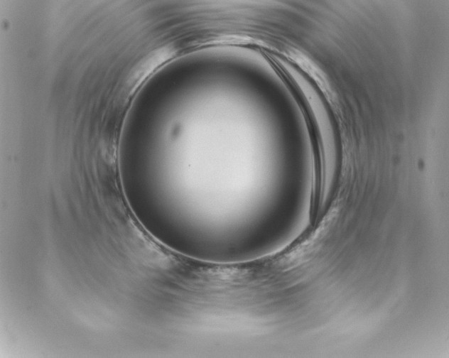 X0000088841193200706071412