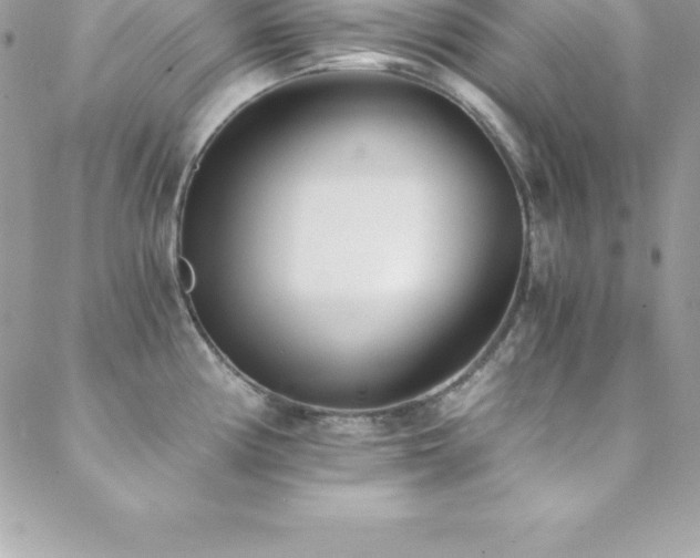 X0000088841194200706071412