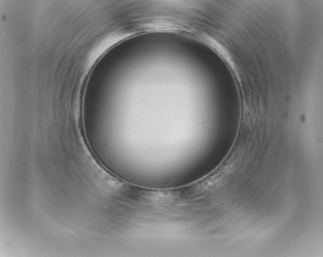 X0000088841195200706071412