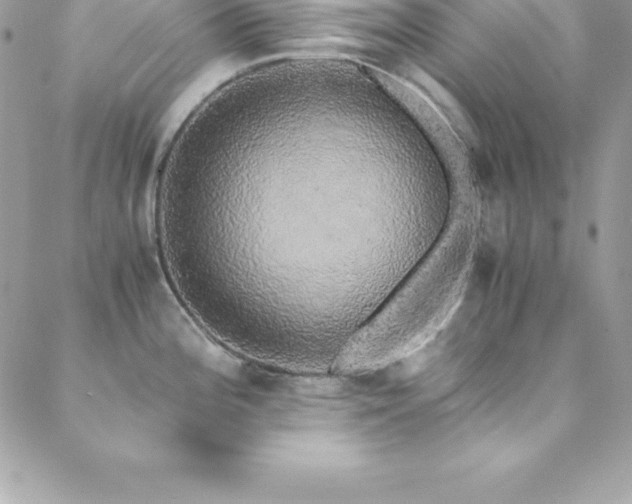 X0000088841196200706071412