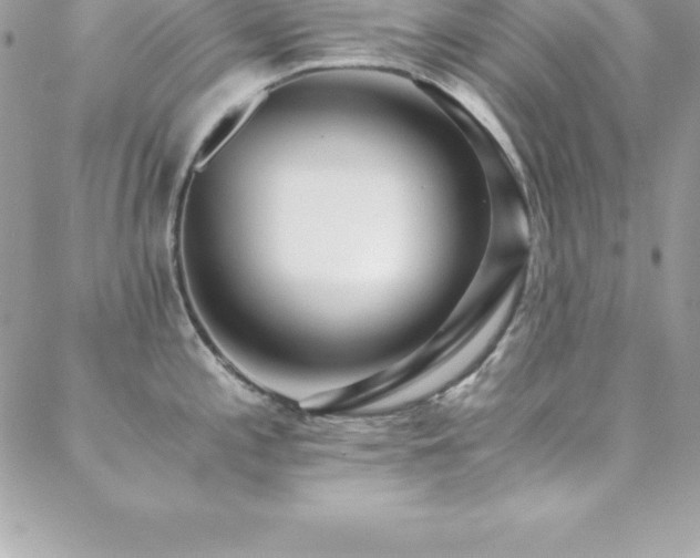 X0000088841197200706071412