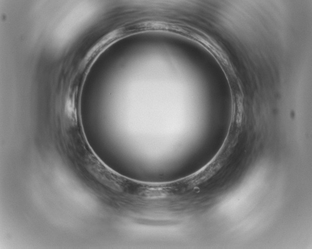 X0000088841198200706071412