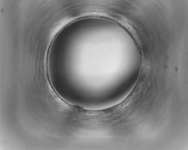 X0000088841199200706071412