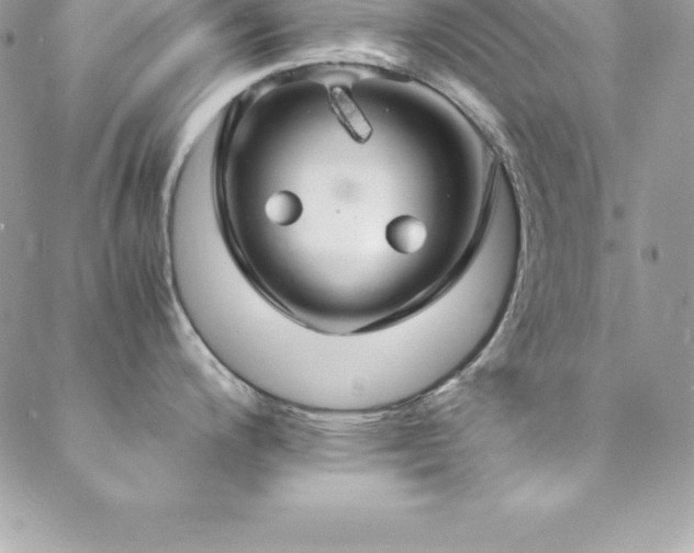 X0000088841200200706071412